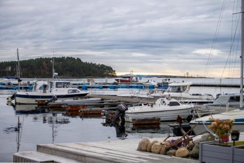 Nedstrand-Nov-2023-040-Nedstrand-103