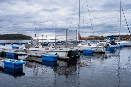 Nedstrand-Nov-2023-043-Nedstrand-091