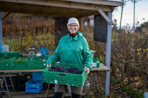 Nedstrand-Nov-2023-064-20231113-DSC04897