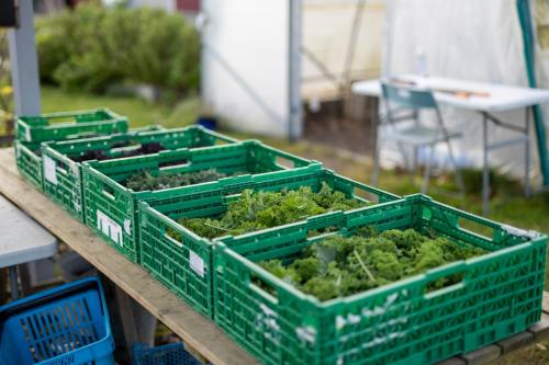 Nedstrand-Nov-2023-067-20231113-DSC04849