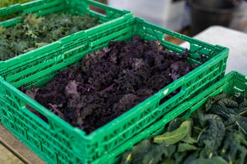 Nedstrand-Nov-2023-070-20231113-DSC04834