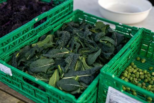 Nedstrand-Nov-2023-071-20231113-DSC04833