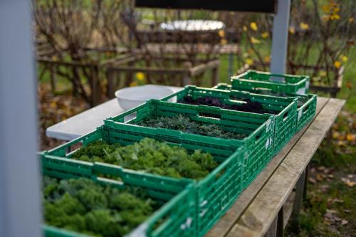 Nedstrand-Nov-2023-073-20231113-DSC04822