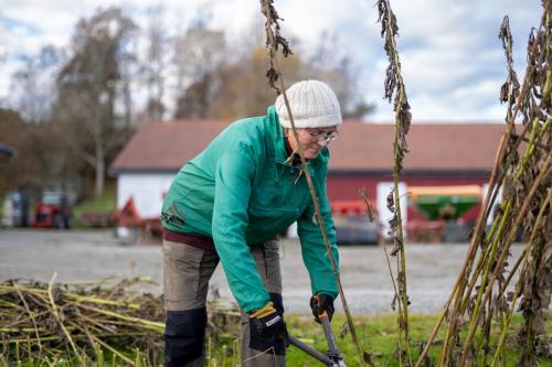 Nedstrand-Nov-2023-078-20231113-DSC04764