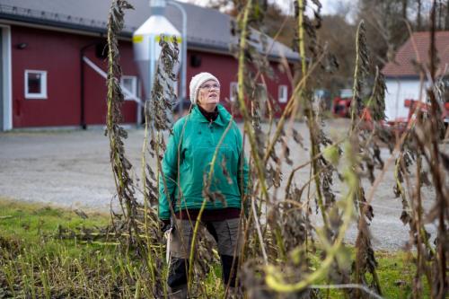 Nedstrand-Nov-2023-079-20231113-DSC04738