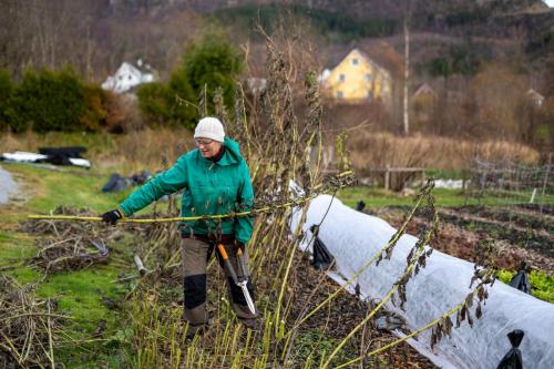 Nedstrand-Nov-2023-083-20231113-DSC04694