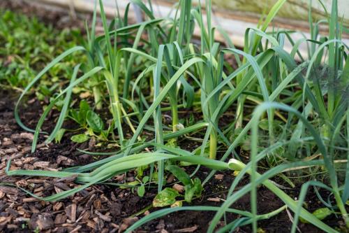 Nedstrand-Nov-2023-089-TIM02242