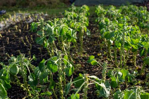 Nedstrand-Nov-2023-093-TIM02231