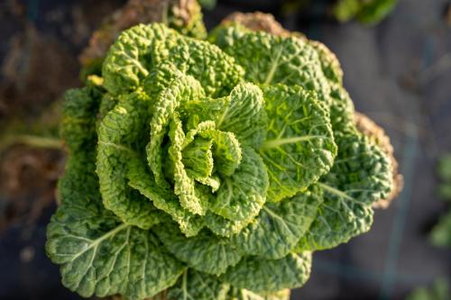 Nedstrand-Nov-2023-099-TIM02221