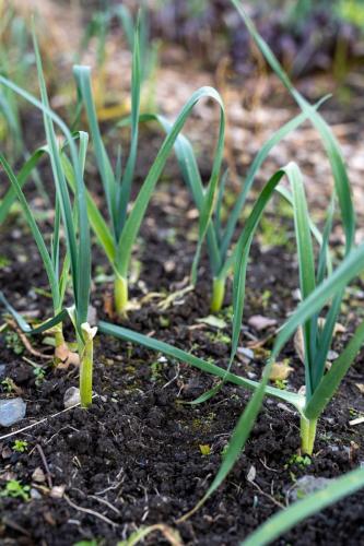 Nedstrand-Nov-2023-104-TIM02184